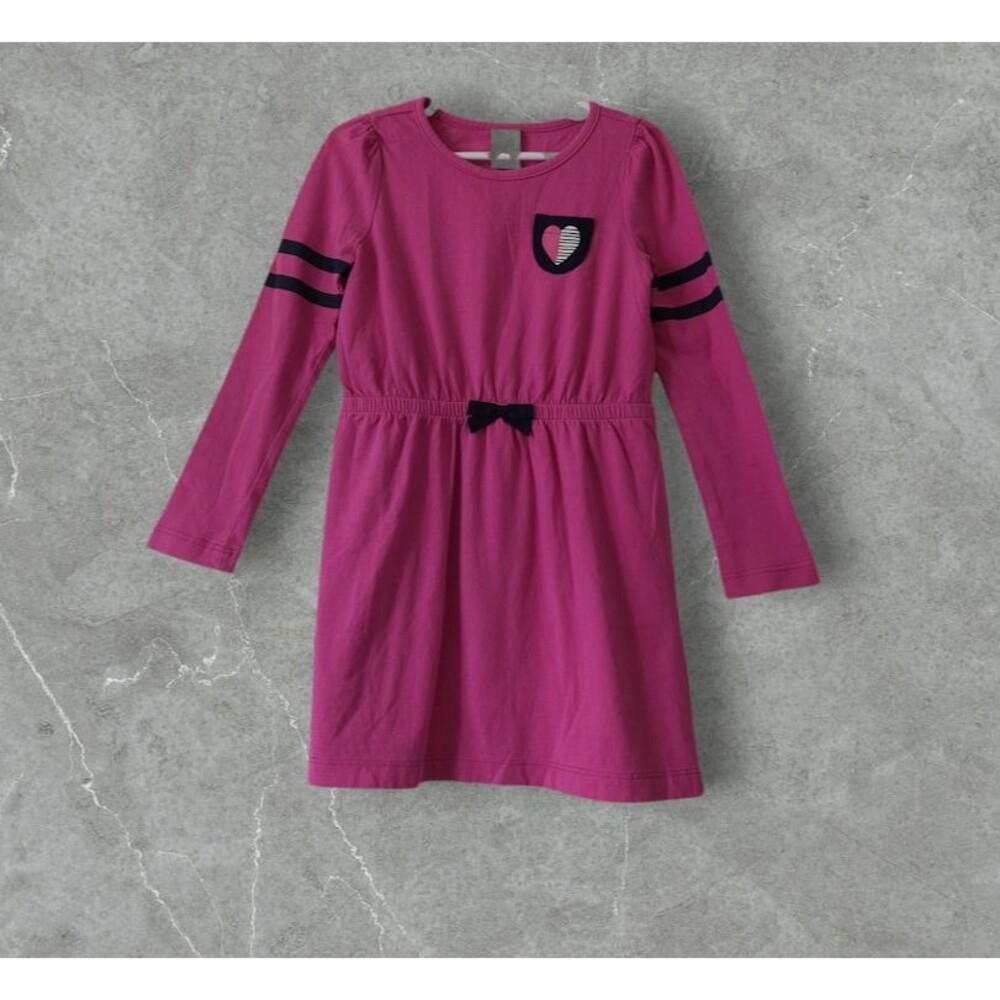 Gymboree Girls Long Sleeve Round Neck Elastic Waist Fuchsia Dress Size 5